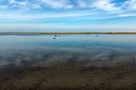 Strand - Sonnennest - Top-Hundeurlaub