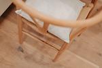 Dekoratives Detail - Bude 4 - Top-Hundeurlaub