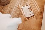 Dekoratives Detail - Bude 4 - Top-Hundeurlaub