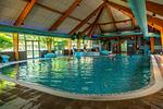 EuroParcs Bad Hoophuizen - Top-Hundeurlaub