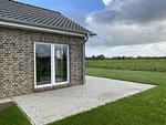 Terrasse - Kuh Blick Ferienhaus Sehestedt - Top-Hundeurlaub