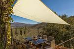 Traumhafte Alleinlage-Torre di Riosecco - Top-Hundeurlaub