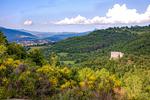 Torre di Riosecco - Top-Hundeurlaub