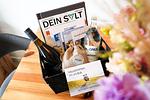 Vierfuss 10 - Top-Hundeurlaub