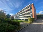 Hauptansicht - App. 43 "Woodwhite" - Top-Hundeurlaub