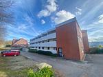 Hauptansicht - App. 43 "Woodwhite" - Top-Hundeurlaub