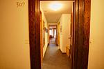 1 1/2-Zimmerwohnung 309 Typ C - Top-Hundeurlaub