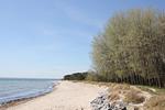 Strand - FeWo1:Terrasse,Sauna,Schwimmbad - Top-Hundeurlaub