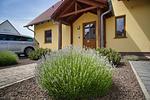 Hauptansicht - FeWo1:Terrasse,Sauna,Schwimmbad - Top-Hundeurlaub