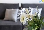 Dekoratives Detail - Ferienwohnung 12a - Top-Hundeurlaub