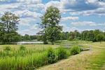 FeWo10: Sauna; hafennah - Top-Hundeurlaub