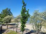 Appartement 30 - Top-Hundeurlaub