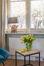 Hüs im Glück - Top-Hundeurlaub