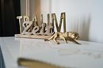 Dekoratives Detail - Meerliebe - Top-Hundeurlaub
