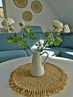 Wohnzimmer - Grachtensteern - Top-Hundeurlaub