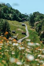 ZSAM Chalets***** in Garmisch-Partenkirchen - Top-Hundeurlaub