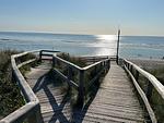 Hampton 1 - Top-Hundeurlaub