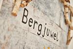 Dekoratives Detail - BergJuwel - Top-Hundeurlaub