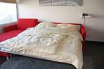 Lord Nelson 513 - Top-Hundeurlaub