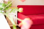 Dekoratives Detail - App.577 - Strandlage - Top-Hundeurlaub