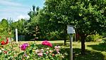 Rosengarten - Top-Hundeurlaub