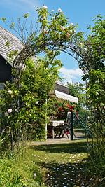 Rosengarten - Top-Hundeurlaub