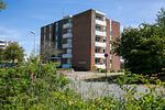 Haus Oland - Wohnung 06 - Top-Hundeurlaub