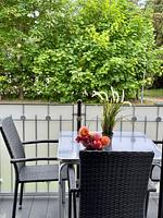 Ostseetraumsuite 01 - Top-Hundeurlaub