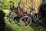 Villa 4 App 6 Sonnenfänger - Top-Hundeurlaub