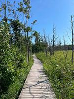 Residenz Kormoran, App. Seezeichen - Top-Hundeurlaub