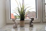 Haus 06, App. 34 "Traumblick" - Top-Hundeurlaub