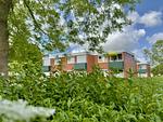 Gartenblick - FeWo Moin - Horumersiel - Top-Hundeurlaub