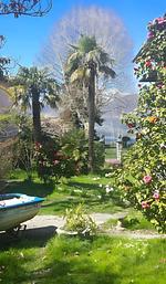 Garten - Appartment I Giardino - Top-Hundeurlaub