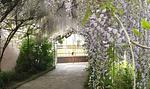Garten - Appartment I Giardino - Top-Hundeurlaub