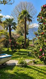 Garten - Appartment I Giardino - Top-Hundeurlaub