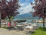 ausreichend Speisemöglichkeiten am wunderschönen Comer See - Appartment I Giardino - Top-Hundeurlaub