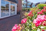 Terrasse - Günzburg Nr. 1 - Top-Hundeurlaub