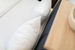 Dekoratives Detail - Iderhoff 43 - Top-Hundeurlaub
