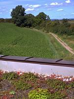 Meerblick - Künstlerkate Lagune - Top-Hundeurlaub