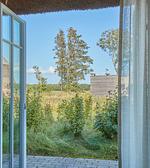 Gartenblick - Künstlerkate Nehrung - Top-Hundeurlaub
