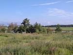 Atelierhaus Strandwall - Top-Hundeurlaub