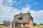 Hauptansicht - Atelierhaus Steilküste - Top-Hundeurlaub
