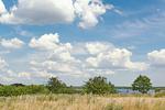 Atelierhaus Steilküste - Top-Hundeurlaub