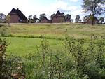 Gartenblick - Malerhaus Niedermoor - Top-Hundeurlaub