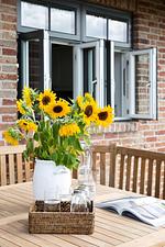 Gartenblick - Malerhaus Landspitze - Top-Hundeurlaub