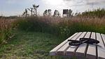 Landschaft - Malerhaus Torfstich - Top-Hundeurlaub