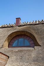 Vogelperspektive - Malerhaus Torfstich - Top-Hundeurlaub