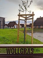 Fassade / Eingang - Malerhaus Wollgras - Top-Hundeurlaub