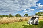 Meerblick - Atelierhaus Mooreiche - Top-Hundeurlaub