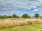 Meerblick - Atelierhaus Moorflechte - Top-Hundeurlaub